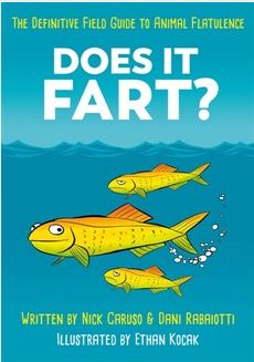 does it fart cover